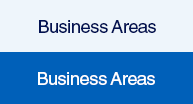 Business Areas