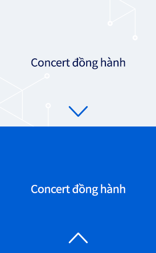 Concert đồng hành